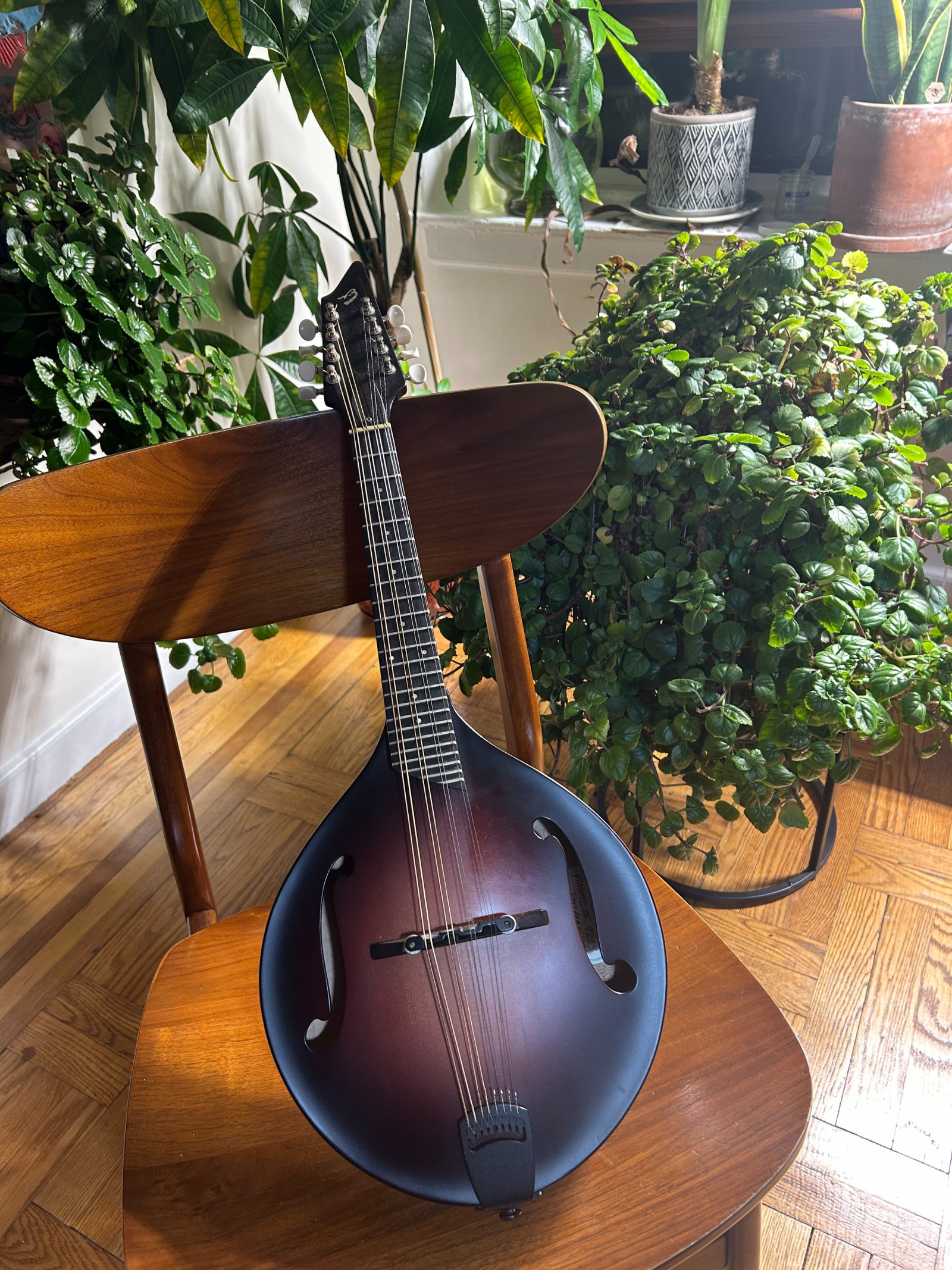 concert smoke lights ambient